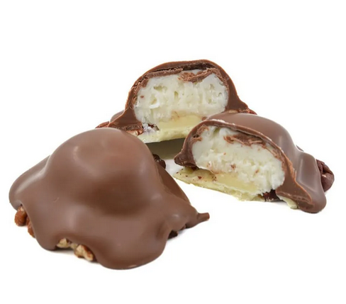 Coconut Pecan Turtle - Lil' Turtles