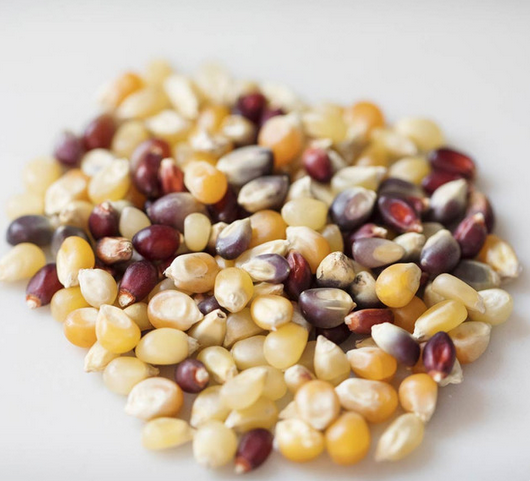 Amish Country Rainbow Popcorn